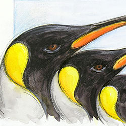 Drei Könige - Pinguin-Trio