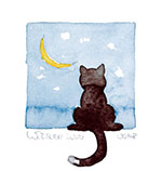 Katze
