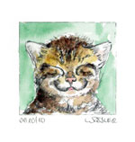Katze