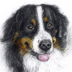Tierportrai Mowgli