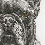 Tierportrait Wilma