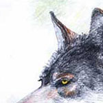 Wolf Heimkehrer