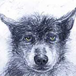 freundlicher Wolf