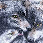 Bruder Wolf