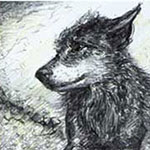 freundlicher Wolf